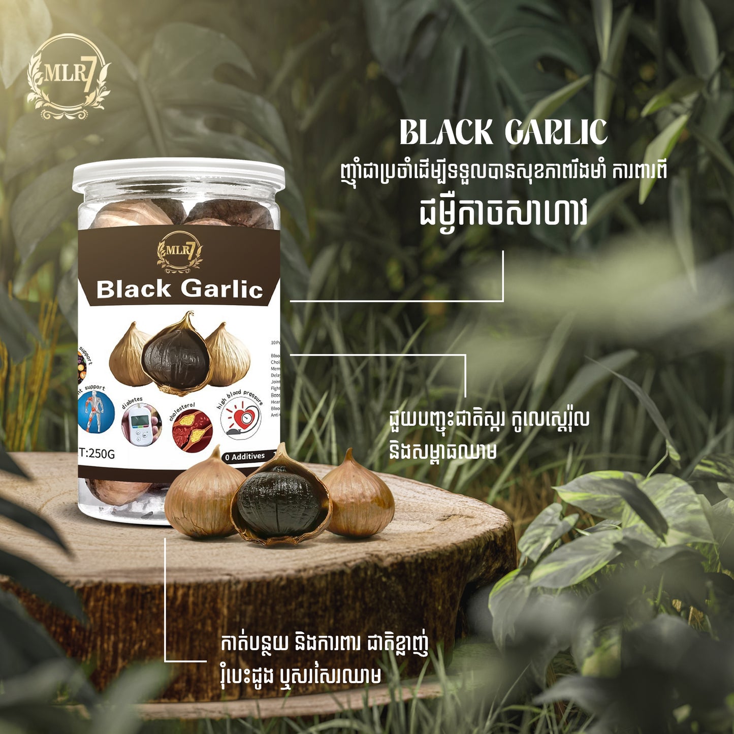 [SALE] Black Garlic